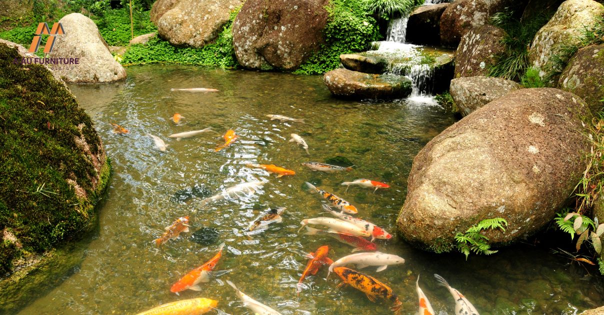 Xây bể cá trước cửa nhà