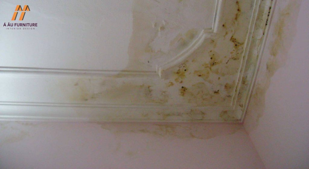 chống thấm sân thượng